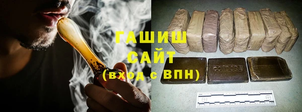 индика Ладушкин