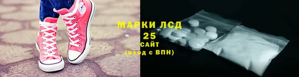 индика Ладушкин