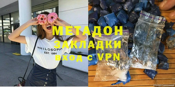 индика Ладушкин