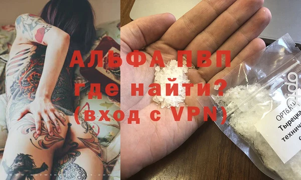 индика Ладушкин