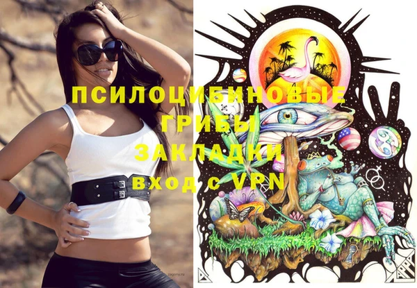 индика Ладушкин