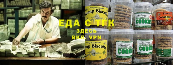 индика Ладушкин