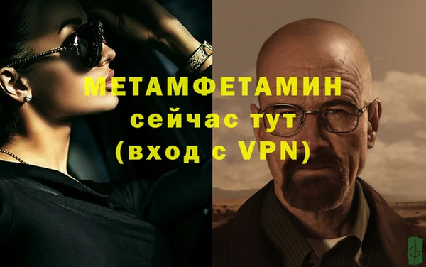 индика Ладушкин
