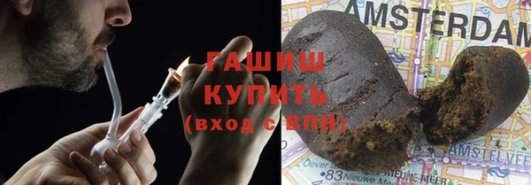 прущие грибы Печоры