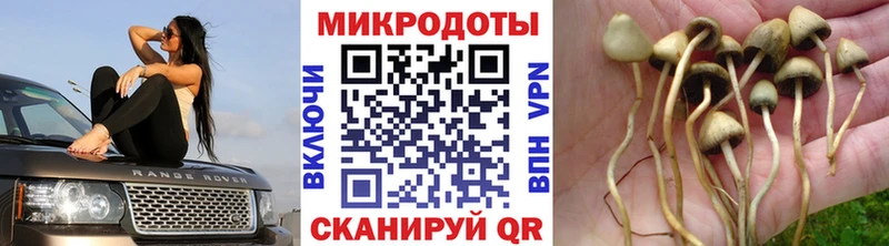 Псилоцибиновые грибы MAGIC MUSHROOMS  Ленск 